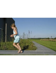  DALLE TWILIGHT TAILLE ANCIENNE  2