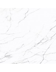 Carrelage 120x120x0.9 STATUARIO Anima Caesar NA    Carrelage 120x120x0.9 STATUARIO Anima Caesar NA
