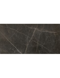 Carrelage 30x60x0.9 GRAPHITE Anima Caesar NA    Carrelage 30x60x0.9 GRAPHITE Anima Caesar NA