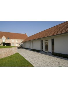  PAVE KANDLA GREY BRUTE  2