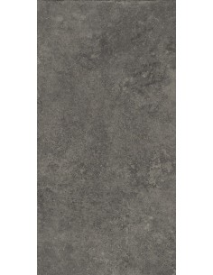 Carrelage 30x60x0.9 DARK Step In Ccs Caesar NA    Carrelage 30x60x0.9 DARK Step In Ccs Caesar NA