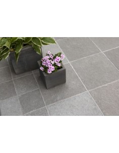 PAVE TANDUR GREY BRUTE