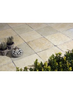 PAVE TANDUR YELLOW BRUTE  2