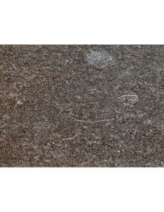  PLINTHE GRIS CATALAN SATINO 